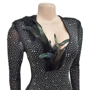 Close-up of black mesh dress featuring silver rhinestones and premium feather trim