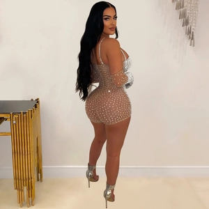 Detailed view of sheer mesh bodysuit with silver rhinestones and matching sleeves