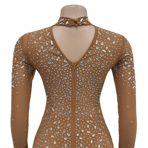 Detail of silver rhinestones on elastic mesh fabric with back zipper and high collar neck