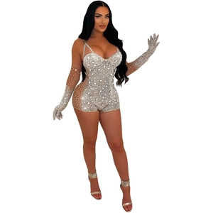 Detail of sheer mesh jumpsuit with white rhinestones and matching long gloves