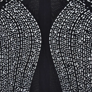 Detailed macro view of silver rhinestones arranged in wing patterns on black sheer mesh fabric