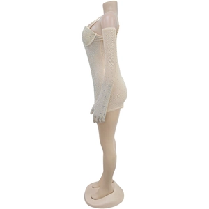 Detail of nude sheer bodysuit with silver rhinestones and matching long gloves