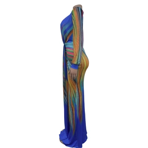 Détail de l'imprimé plumes colorées et texture plissée sur robe longue bleue