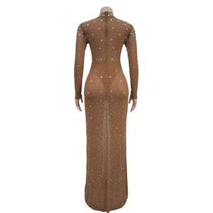 Detail of sheer brown mesh dress featuring sparkling rhinestones and a hidden back zipper