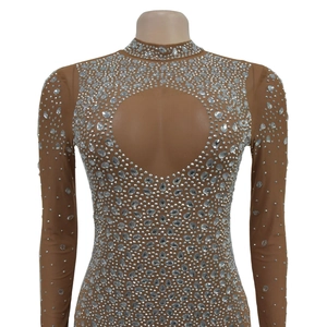 Detail of sheer nude mesh bodysuit featuring silver rhinestones in geometric patterns