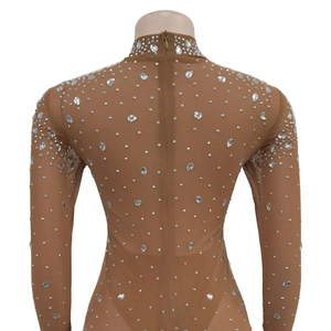 Detail of sheer nude mesh bodysuit with sparkling silver rhinestones and hidden back zipper