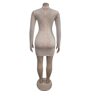 Detail van de rugzijde van de nude mesh jurk met strasspatronen en blinde rits