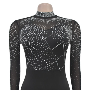 Detail of sheer mesh sleeves and turtleneck with sparkling silver rhinestones on black top