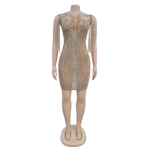 Detail of silver rhinestone patterns and long fringe tassels on a mesh party dress