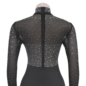 Detail of sheer black mesh dress featuring sparkling rhinestones and a back zipper closure