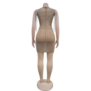 Detailed back view of nude bodycon dress featuring silver rhinestones and fringe shoulders