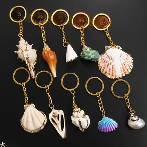 Macro view of natural seashells and conch keychains with gold metal edges on black background