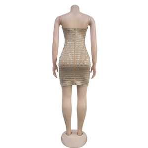 Detail of the champagne cocktail dress with silver rhinestone matrix and back zipper