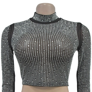 Detailansicht eines schwarzen Mesh-Crop-Tops mit silbernen Glitzersteinen und Stehkragen