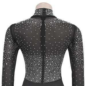Detail of sheer black mesh bodysuit featuring sparkling silver rhinestones and back zipper