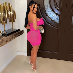 Dettaglio dell'abito rosa acceso in mesh arricciato con piume e silhouette bodycon