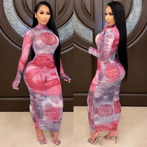 Front and side view of mesh maxi dress with pink and grey dollar bill print pattern