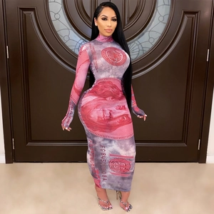 Slim-fit long sleeve turtleneck maxi dress with creative US dollar money print