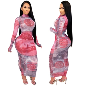 Detailed close-up of the dollar bill print on the mesh bodycon maxi dress with high neck