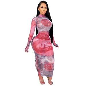 Detailed view of the sheer mesh fabric with realistic dollar bill patterns on dress