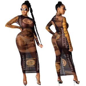 Detail of sheer mesh dress featuring intricate US dollar currency print and slim fit