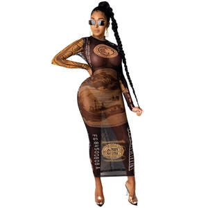 Detail of sheer black mesh bodycon dress with all-over dollar bill currency print pattern