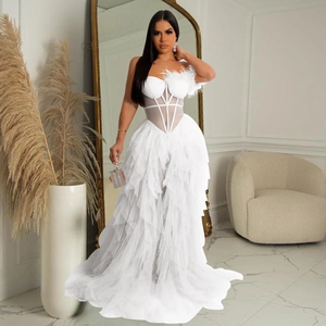 Detail of white mesh corset bodice and delicate feather decoration on the dress