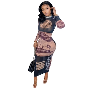 Detailed view of long sleeve mesh dress featuring dollar bill print and sheer fabric