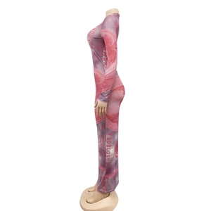 Detail view of pink mesh maxi dress featuring dollar bill print and sheer fabric