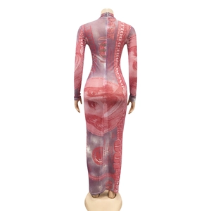 Detailed back view of a bodycon mesh maxi dress featuring a vintage USD money print