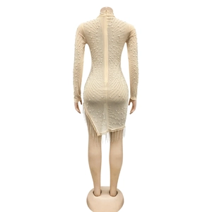 Detail of sheer mesh dress with rhinestones, pearls, back zipper and tassel fringe