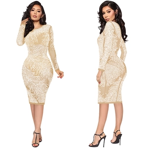 Macro detail of nude mesh dress with white sequins and intricate feather patterns