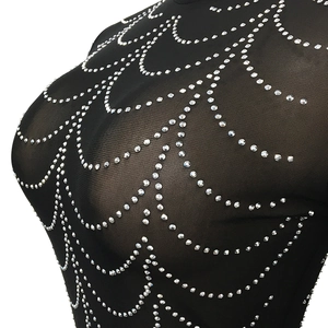Detail of sheer black mesh dress with shimmering silver rhinestones in a web pattern