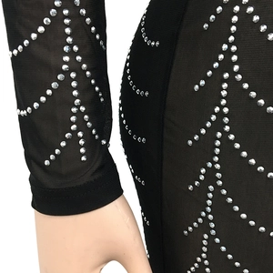 Detail of sheer black mesh dress featuring intricate silver rhinestone feather patterns