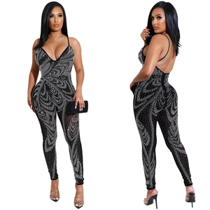 Detail of black mesh jumpsuit with silver rhinestone feather patterns and open back