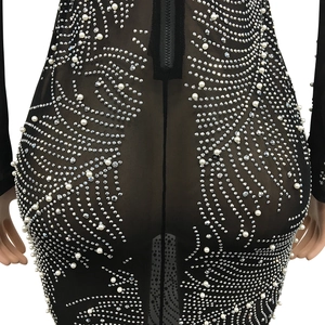 Detailed back view of sheer mesh dress with rhinestones, pearls, and zipper closure