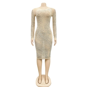 Close-up of sheer mesh bodycon dress featuring intricate silver rhinestone feather patterns