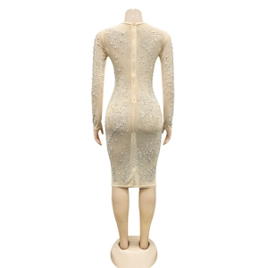 Close-up of the back invisible zipper and sparkling rhinestone patterns on nude mesh dress