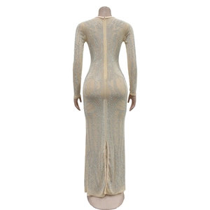 Detailed back view of a sheer mesh maxi dress with sparkling rhinestones and invisible zipper