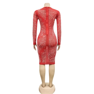 Macro detail of red rhinestone mesh bodycon dress featuring back zipper and feather pattern