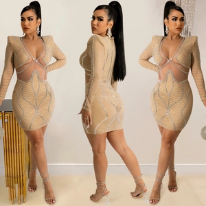 Detail of sheer mesh bodycon dress featuring silver rhinestones and waist cut-outs