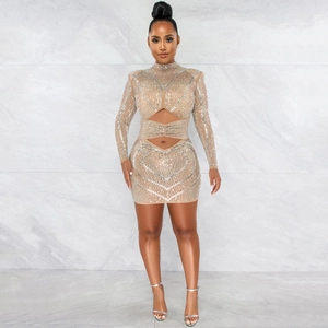 Detailed view of champagne mesh dress with silver rhinestones and waist cut-outs