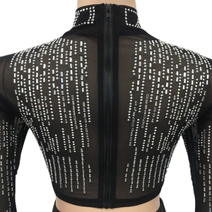Detail of sheer mesh crop top with silver rhinestones and vertical back zipper closure