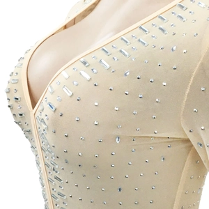 Detail of the plunging V-neckline and sparkling rhinestone patterns on sheer mesh dress