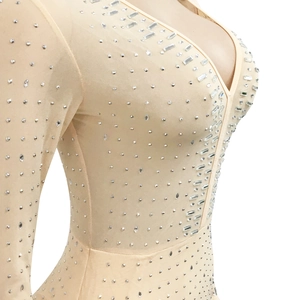 Close-up of sheer mesh nude dress with deep V-neck and sparkling rhinestone detailing