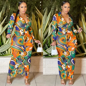 Sexy mesh sheer long sleeve maxi dress with vibrant abstract print and V-neckline