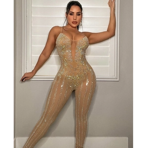 Close-up of sparkling vertical rhinestones on a sheer mesh nightclub jumpsuit detail