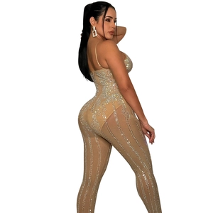 Detail of mesh bodysuit with silver rhinestones and adjustable spaghetti straps