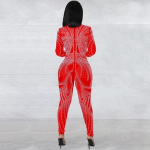 Rear view of red mesh jumpsuit showing back detail with rhinestones and hidden zipper