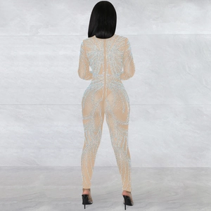 Detailed back view of sheer mesh catsuit with intricate silver rhinestones and sleek fit